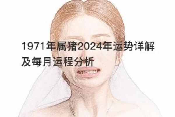 1971年生肖猪的命理解析：你的命运与性格揭示