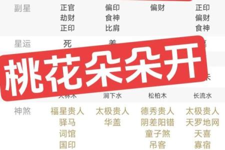 命理学中的桃花运：如何利用桃花改善人际关系与爱情运势？