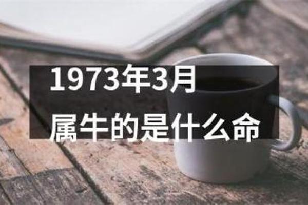 1997年属牛的命运分析与人生启示