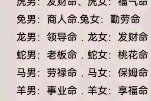 十二生肖与命理：深度解析各属相的命格特征