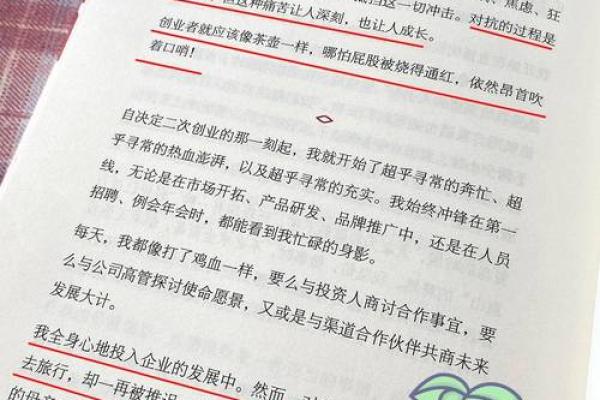 无根命：独特命理下的生命旅程与追求真我之路