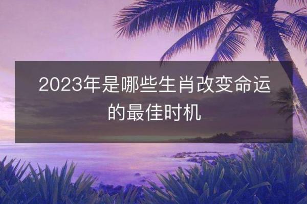 摩羯座的命运之道：哪些属相与你最契合？