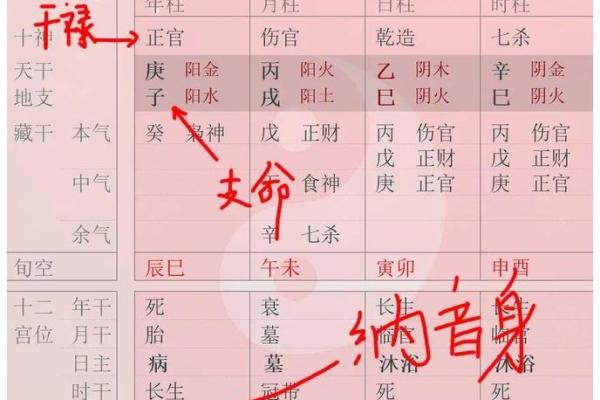 女命正官星与男命的星曜：命理中的深层联系与启示