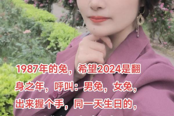 1987年属兔人的命运与性格解析：听兔子诉说的秘密