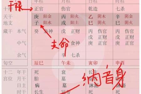 女命正官星与男命的星曜：命理中的深层联系与启示