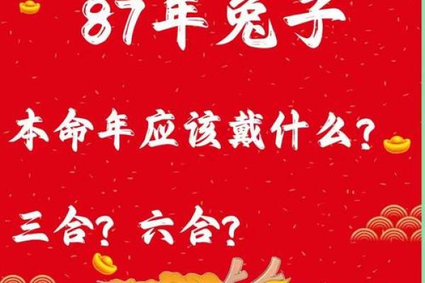 兔子命好：从属相看兔年运势与运道解析