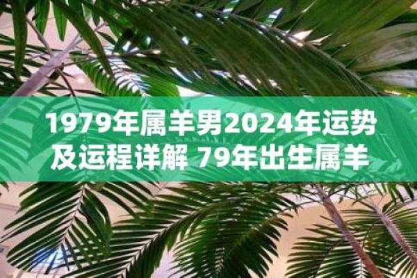 1979乙未羊命运解析：探索属羊人的性格与人生轨迹