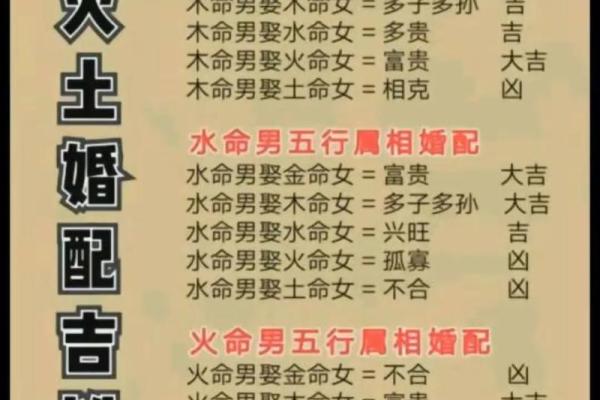 2024年火命之年：如何迎接火的能量与机遇？