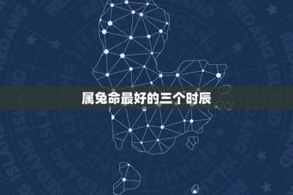 2011属兔人的命运解析：从性格到运势的全方位了解