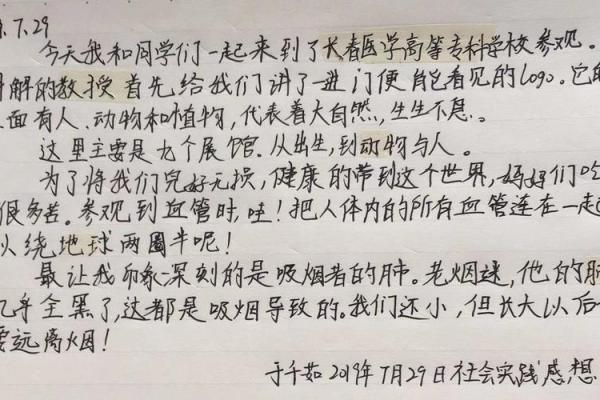 探索宝命十二丹的奥秘：揭示古老疗法的现代应用与神奇功效