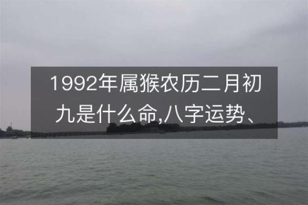 1991年属猴人的命理解析与人生启示