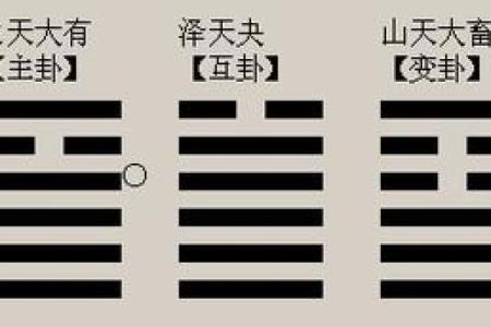 1995年农历正月出生的人，他们的命运揭秘与生活解析