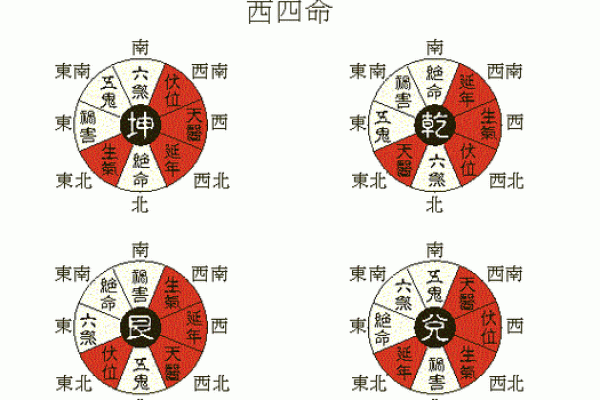 八土命西四命的深层解析与生活启示