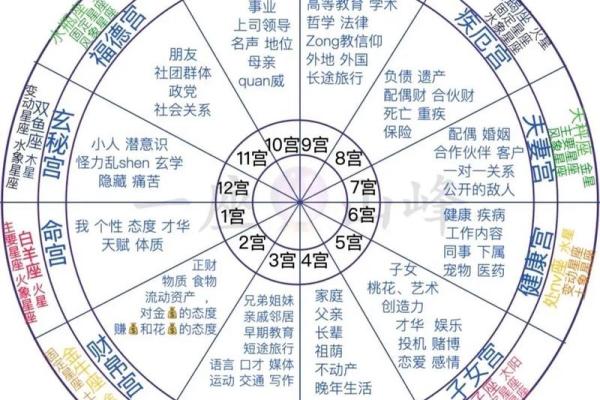 学算卦：揭秘命格与风水对人生发展的影响