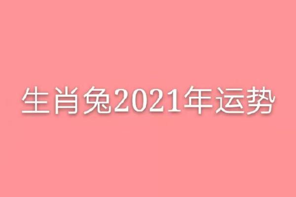 生肖兔2021年运势解析：命理与属相的深度剖析