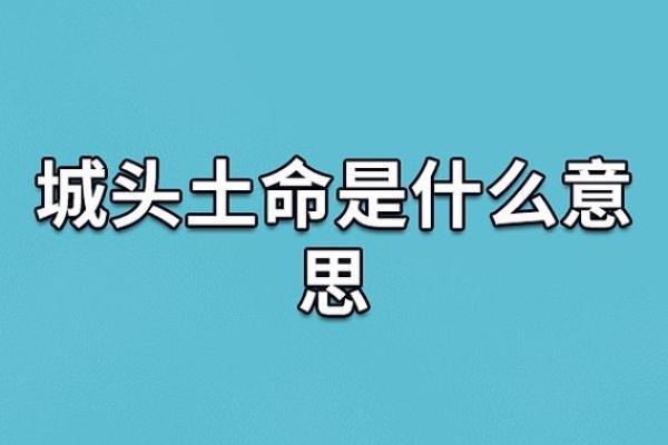 1999年土命解析：探索土命人的性格与命运之旅