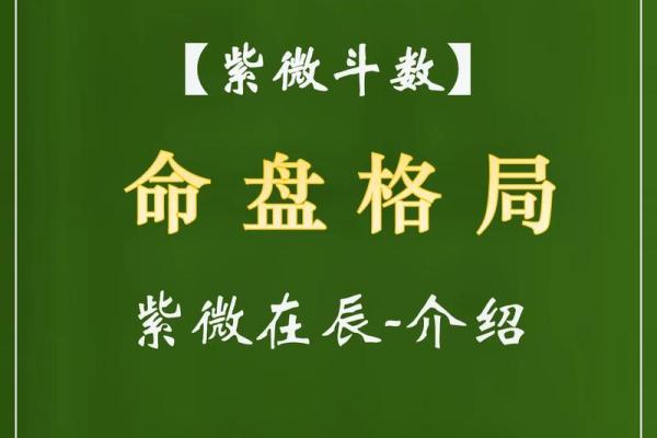 如何通过紫微命盘破解炒股之道，助你赢在股市