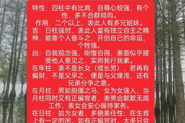 2013年：命理与人生，探索八字与命运的交织