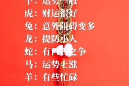 根据生肖属相看命运：解密不同属相的命理特点