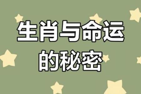 揭示你的人生轨迹：60年的命运与属相解密