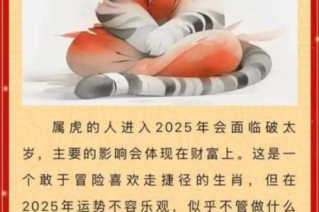 2025年命理解析：揭示你命中缺失的元素与机遇