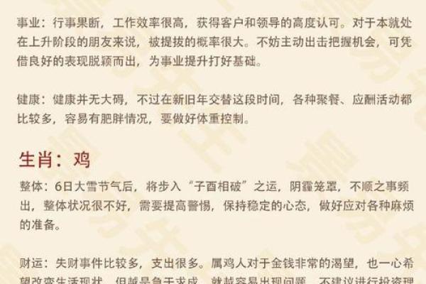 2026年生肖和命理：探秘火兔之年运势与生活智慧