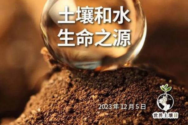 适合土命人的职业与生活方向探讨：挖掘自我潜力，寻找生命的土壤