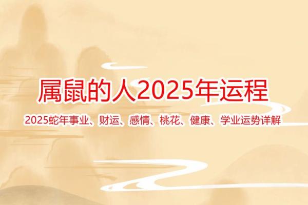 2020年属鼠的命运解析与运势提升建议