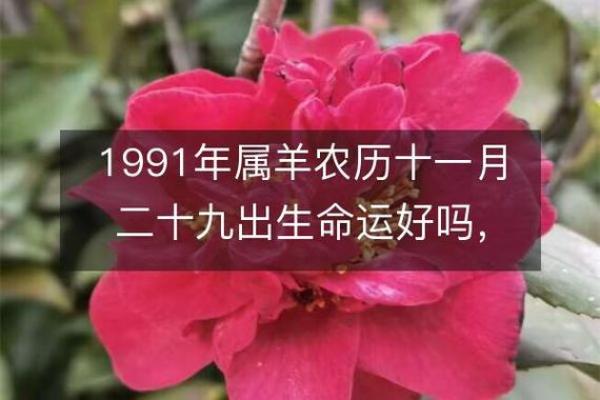 1991年女羊的命运与性格：生活中的幸运与挑战