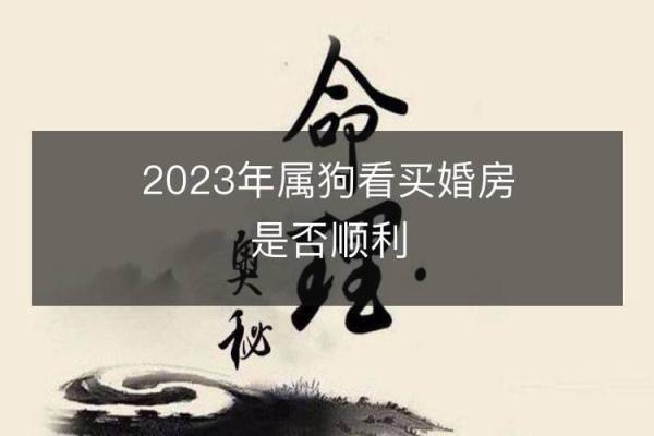 2006年生肖：狗年命运解析与人生启示