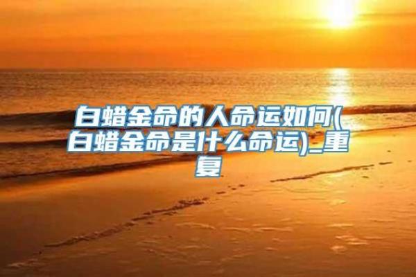 金命的特质与生活成就：探索金命人的内在魅力与成功之道