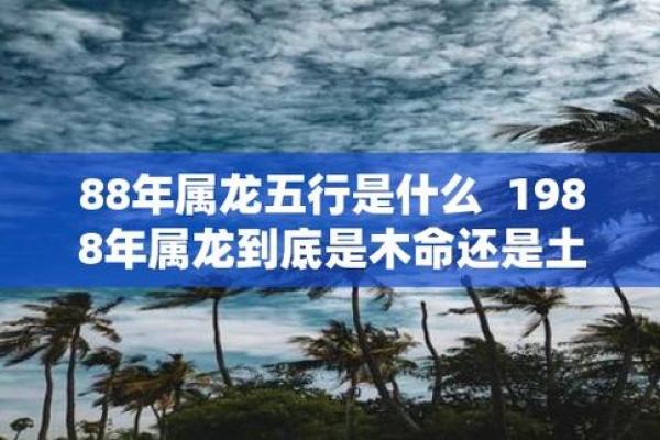 探索土命人：路旁土命缺什么？揭示五行之奥秘！