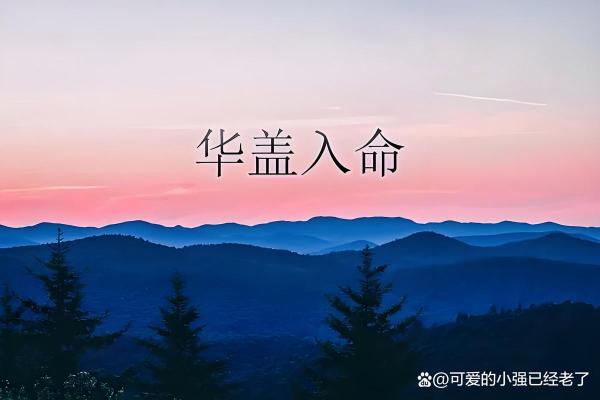 命带华盖适合什么职业？解密华盖命的职场选择与人生方向