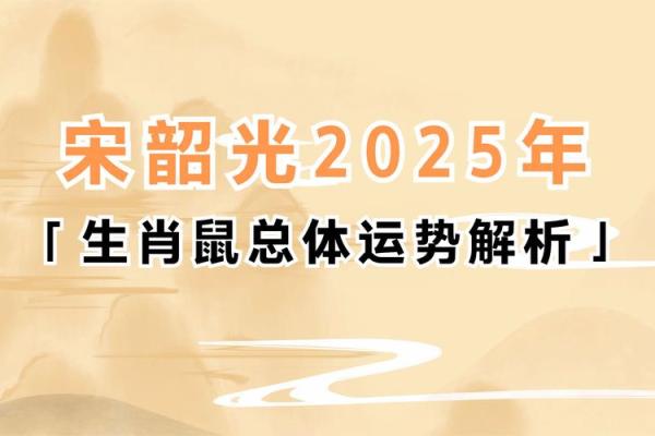 2024年属相解析：揭秘属鼠人的命运与运势波动