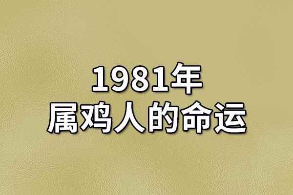 金鸡命的人——揭秘发财的最佳年龄段与秘诀