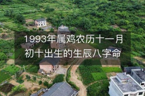 1983年出生的鸡命：命运与性格的揭秘