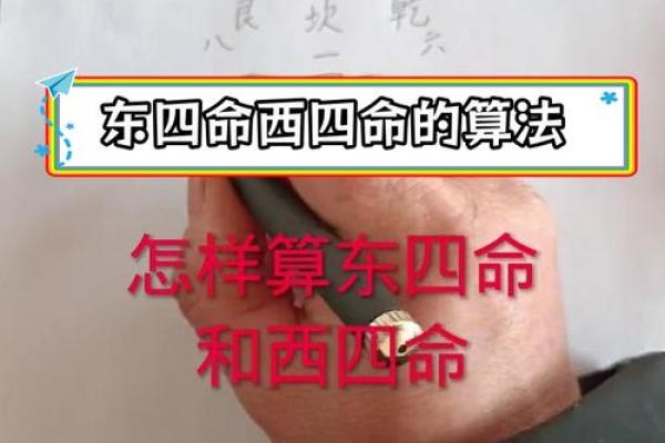 什么叫东四命西四命？详细解析五行命理的奥秘