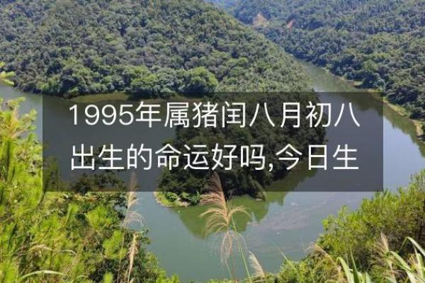 1995年出生的人，他们的命运特点与发展潜力