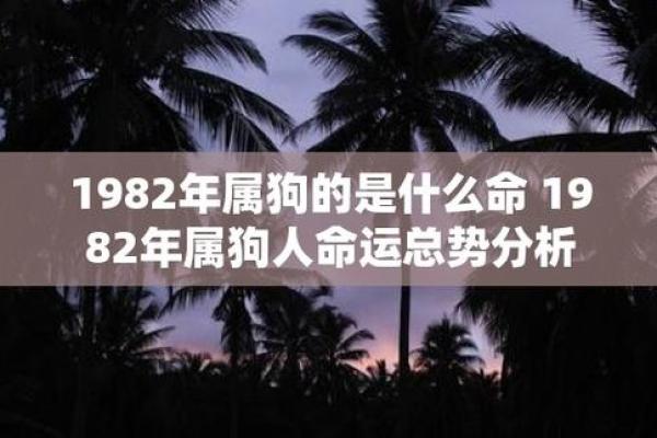 狗年出生的命运解析：不同时间出生的狗的性格与命运分析