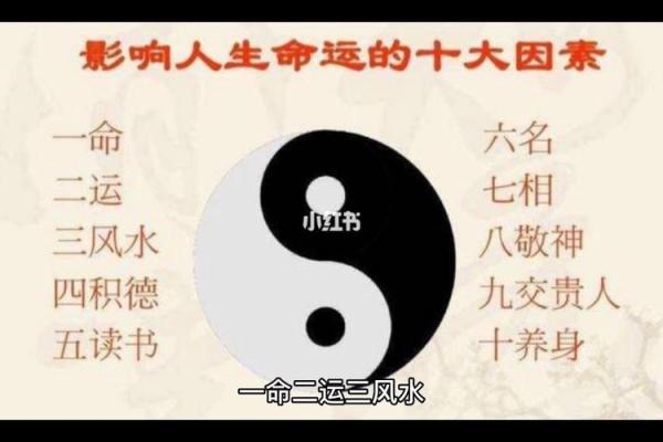 如何通过名字影响人生？揭示五位传奇女性的名字背后的故事与智慧