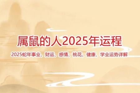 2020年属鼠的命运解析与运势提升建议