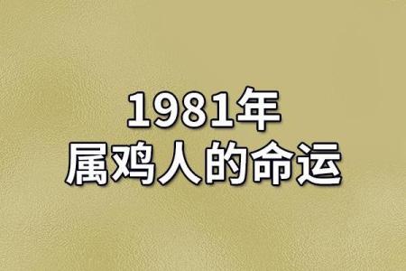 金鸡命的人——揭秘发财的最佳年龄段与秘诀