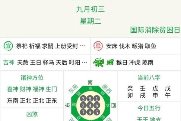 2023年：探索鼠命年份的魅力与启示