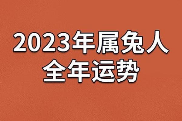 2023年11月的命运解析：探寻这个月份的特性与运势之谜