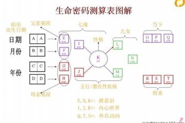 金命之人适合的数字与命理解析