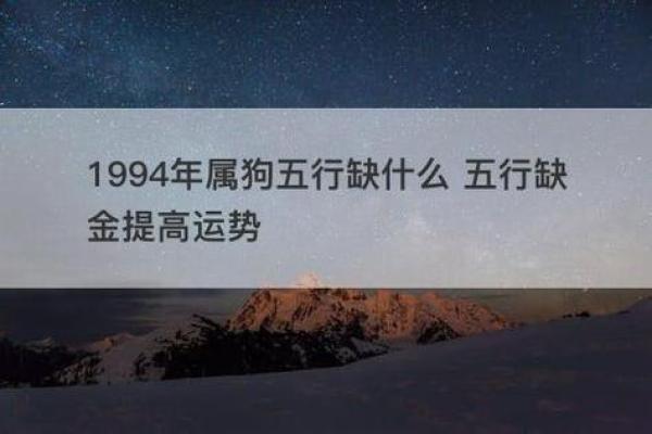 82年属狗命运分析：生活缺什么，如何弥补？