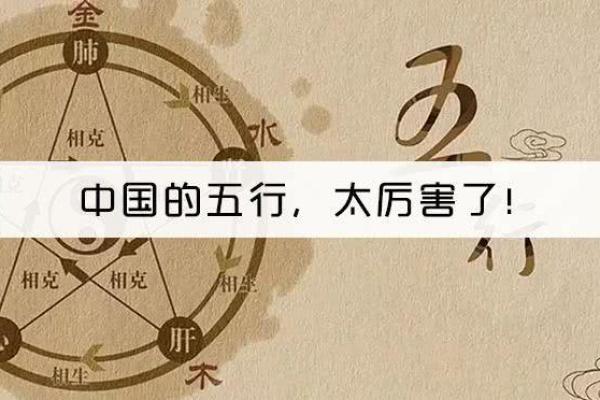 2028年猪年命运分析：财富、爱情与健康的全方位解读