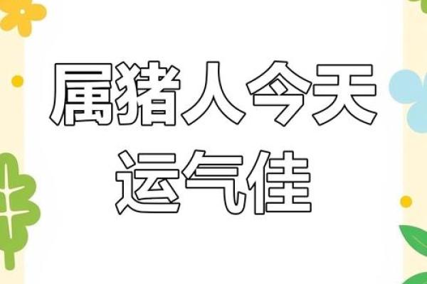 2019年生肖猪的性格、运势和命理解析：开启幸福人生的新篇章