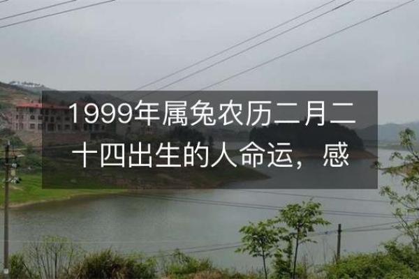 1999年兔女生的命运与性格解析：一生的幸福之路