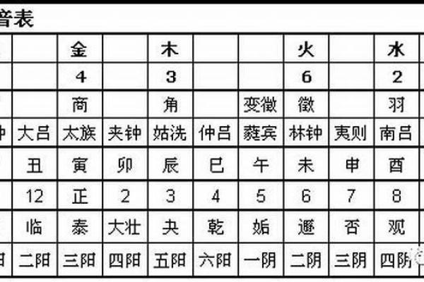 属鸡人的五行与命运解读：揭示2017年之后的巨大转变与机遇